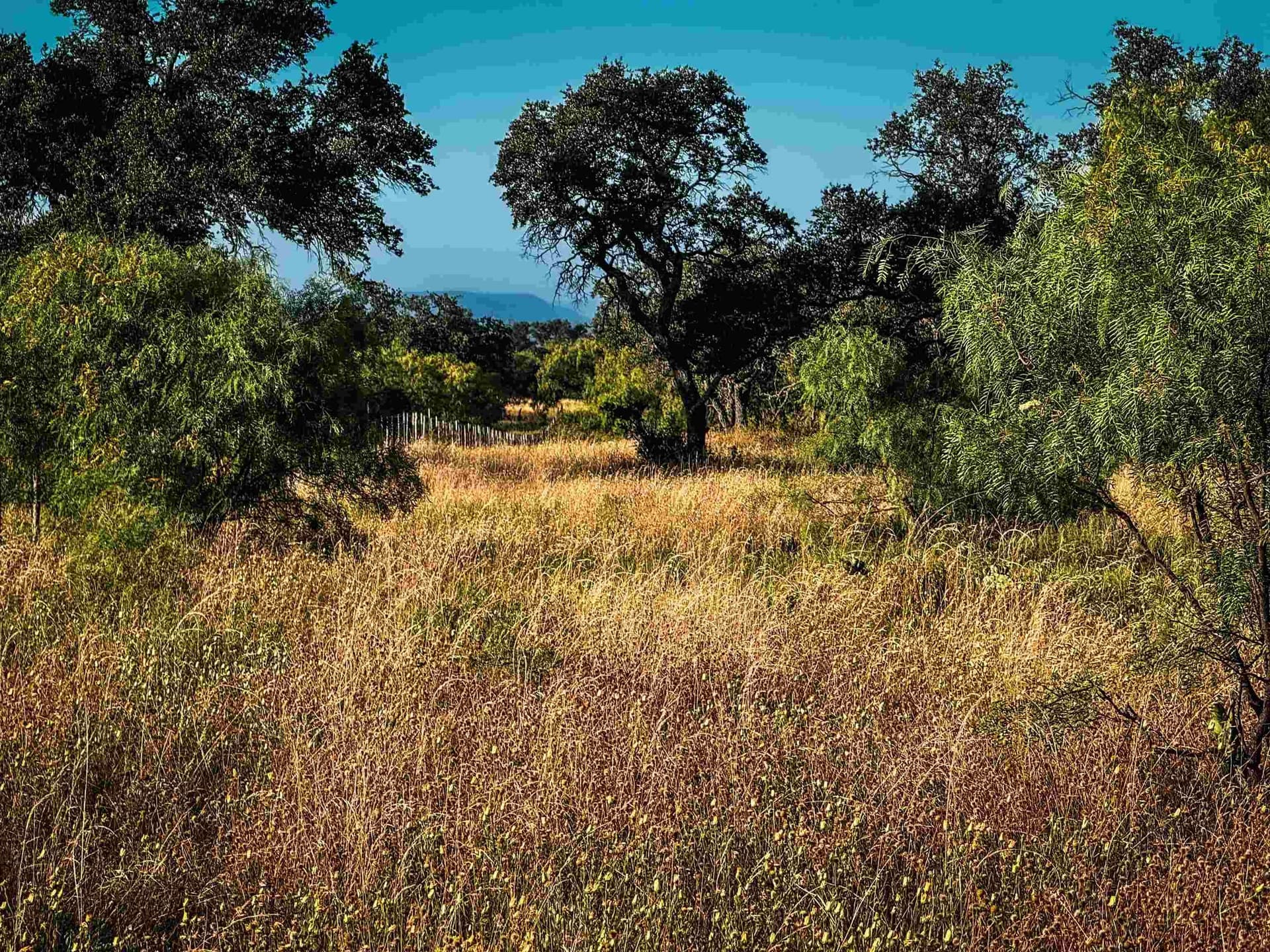 66.52 acres in Llano County - photo 6