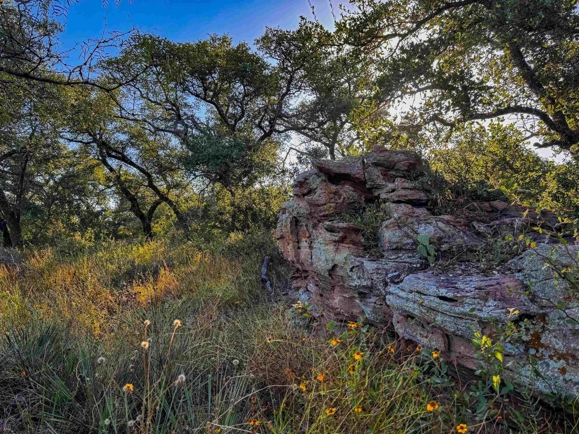 66.52 acres in Llano County - photo 9
