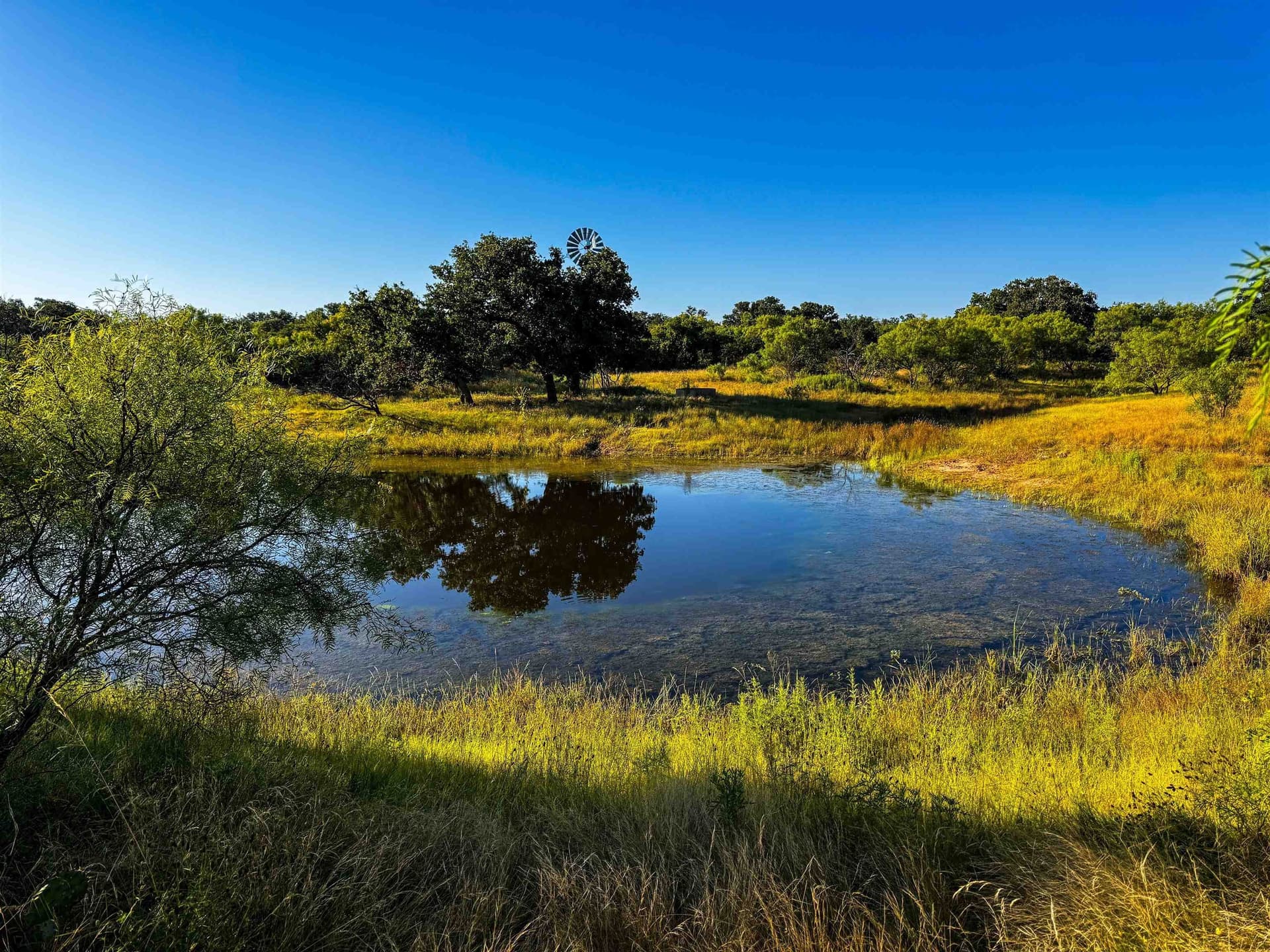66.52 acres in Llano County gallery image 3