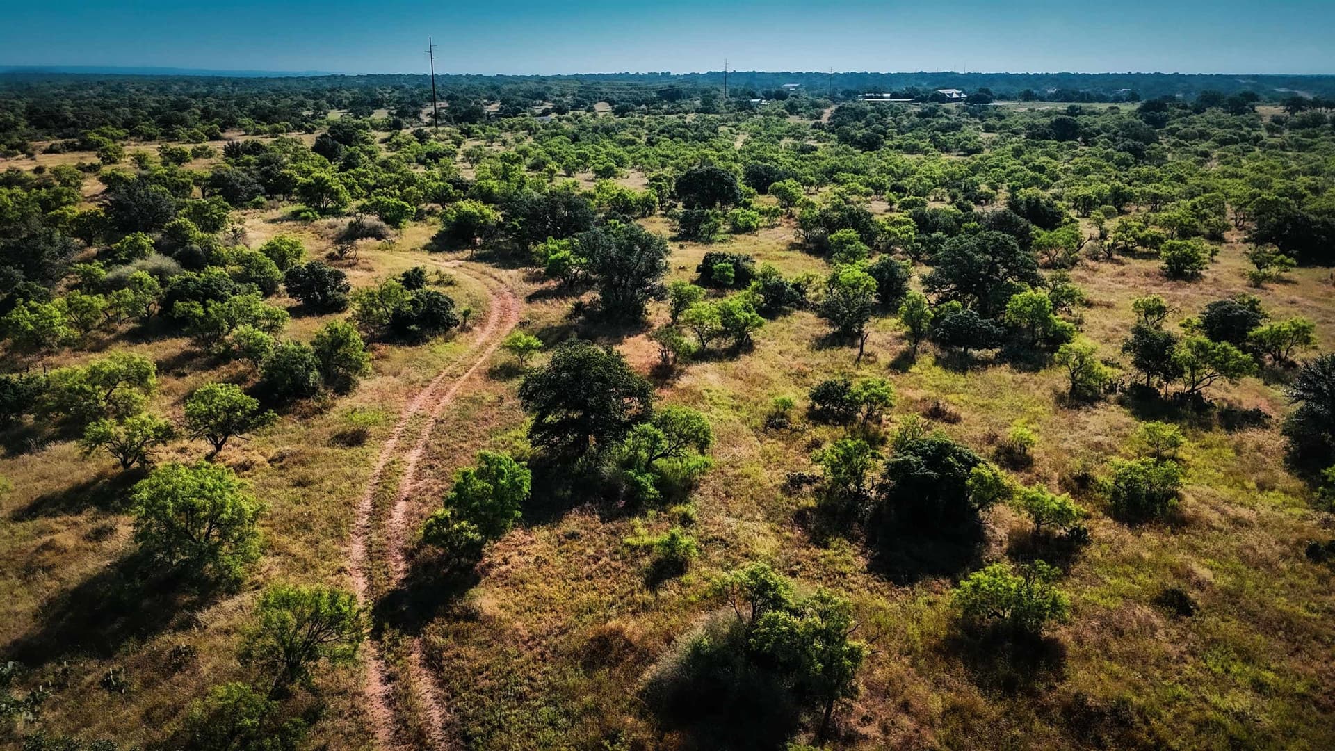 66.52 acres in Llano County - photo 12