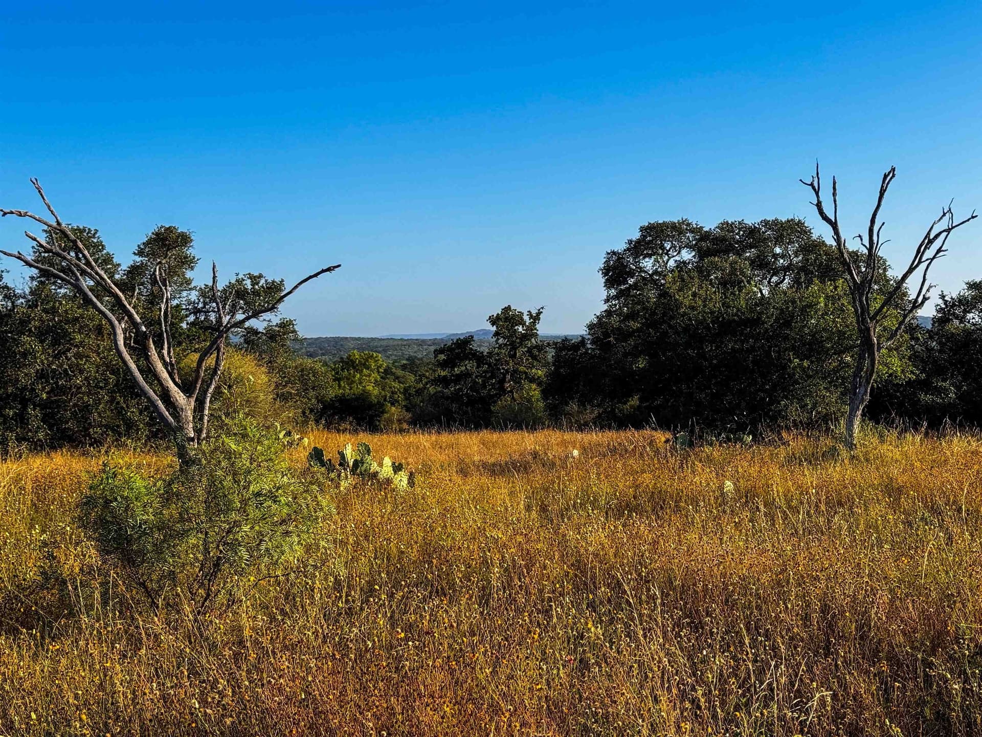 66.52 acres in Llano County featured view