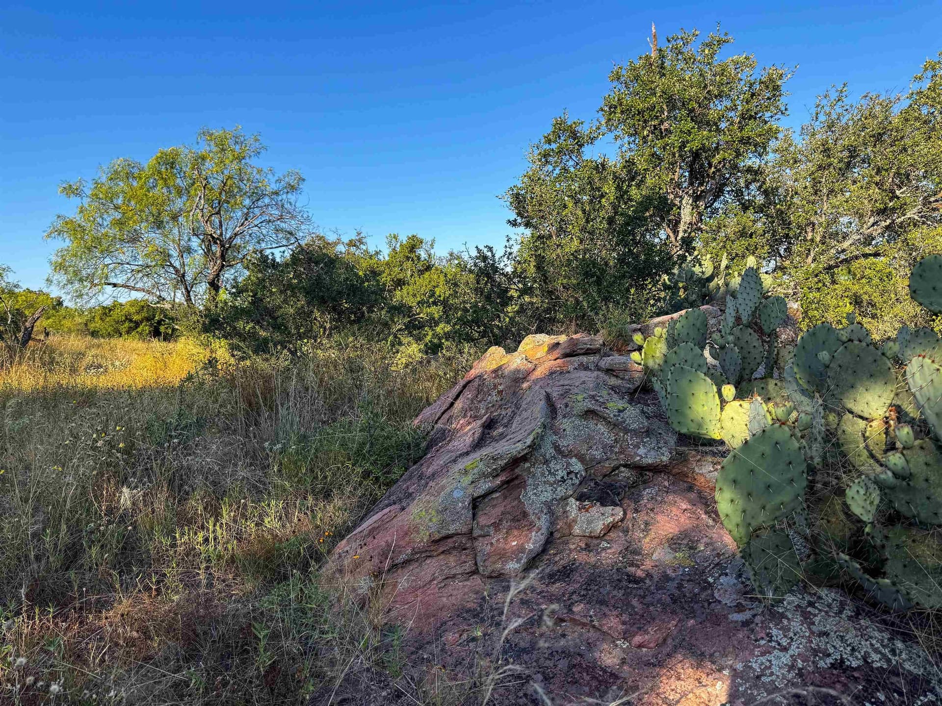 66.52 acres in Llano County - photo 8