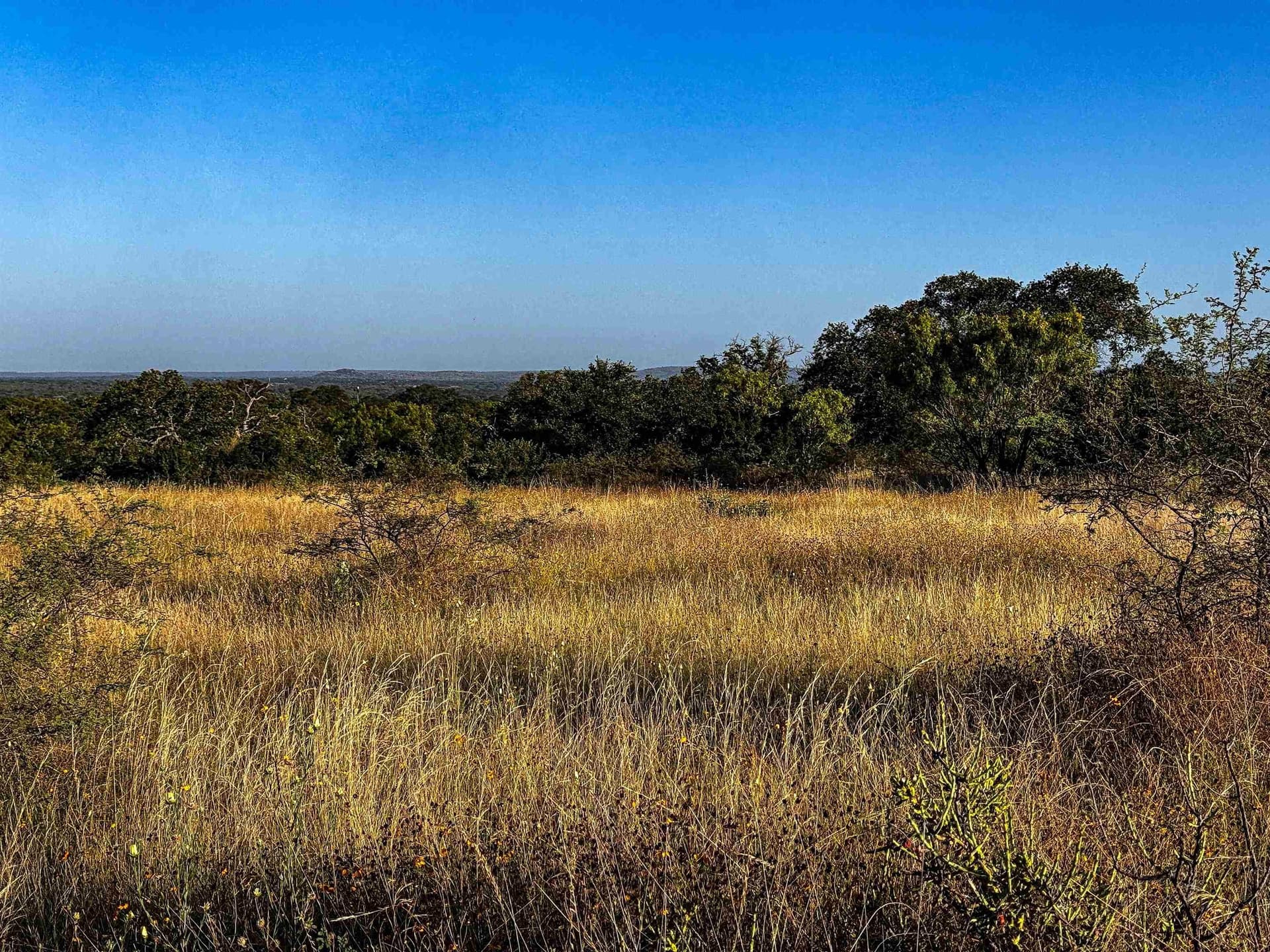 66.52 acres in Llano County gallery image 4