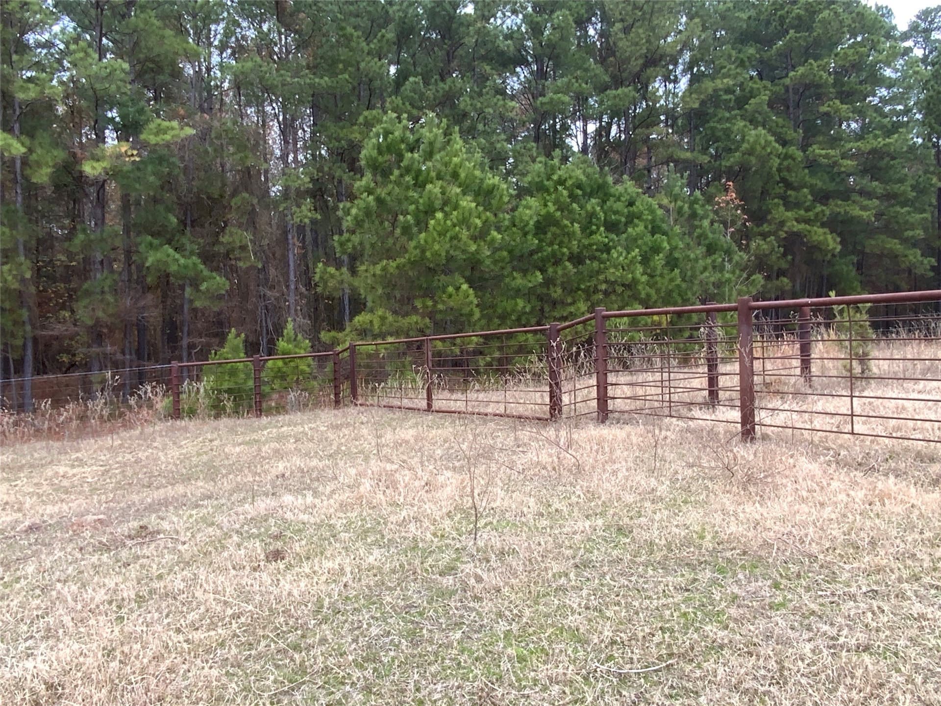 3,000 acres in Gregg County - photo 11