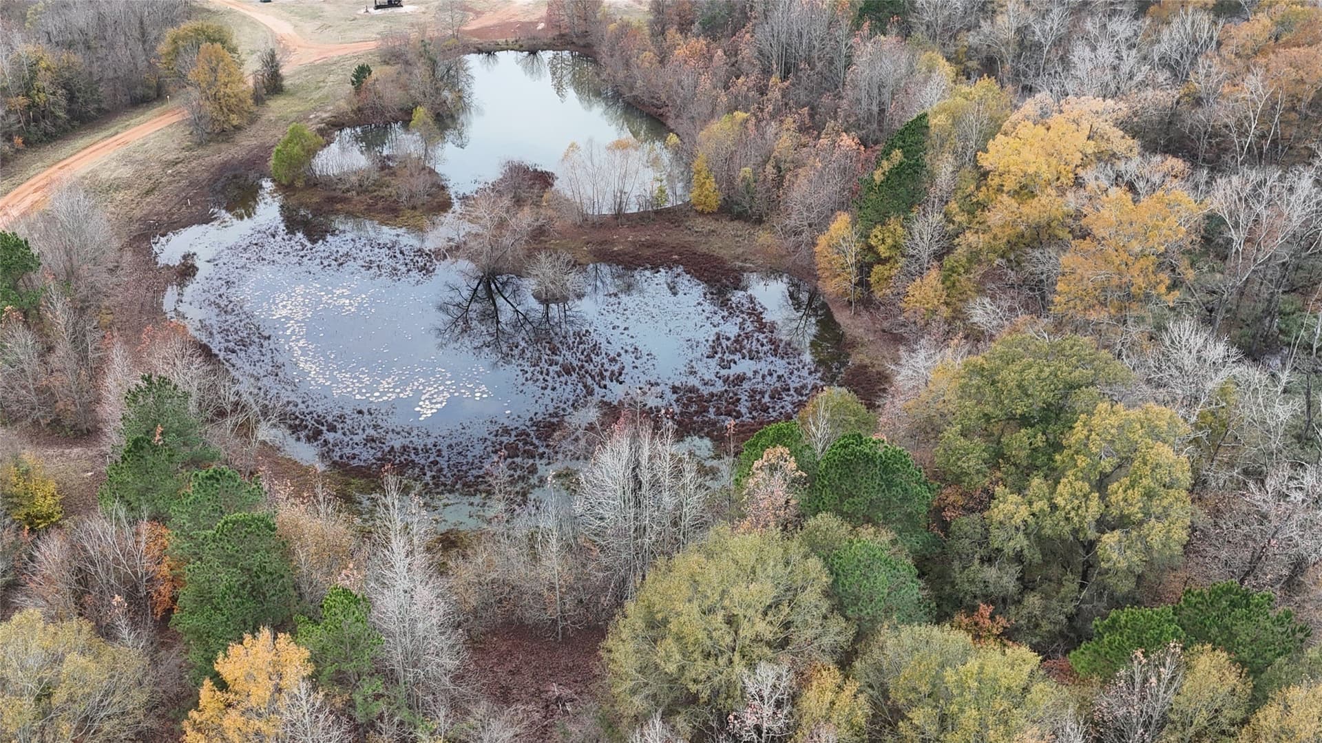3,000 acres in Gregg County - photo 13