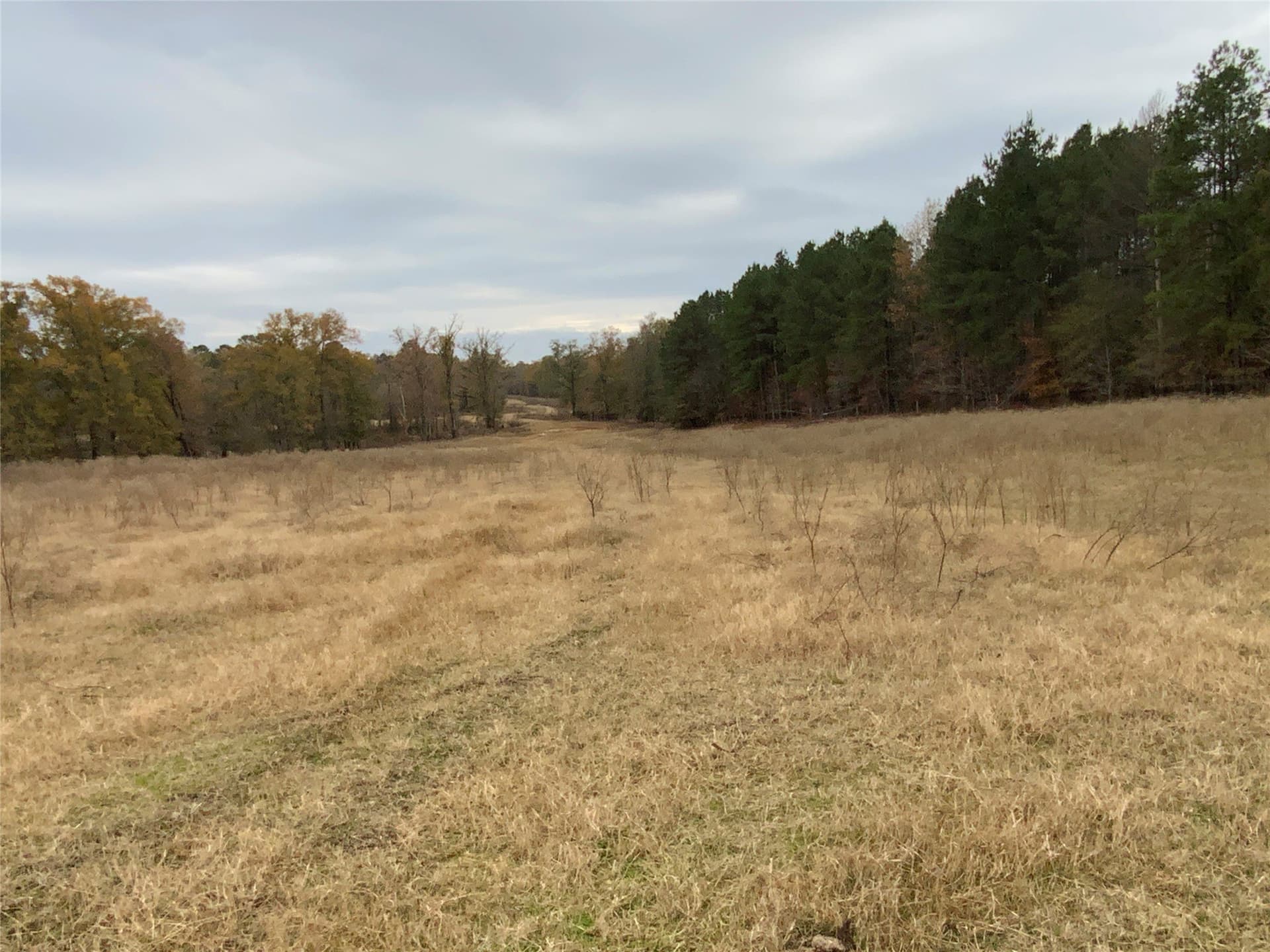3,000 acres in Gregg County - photo 12