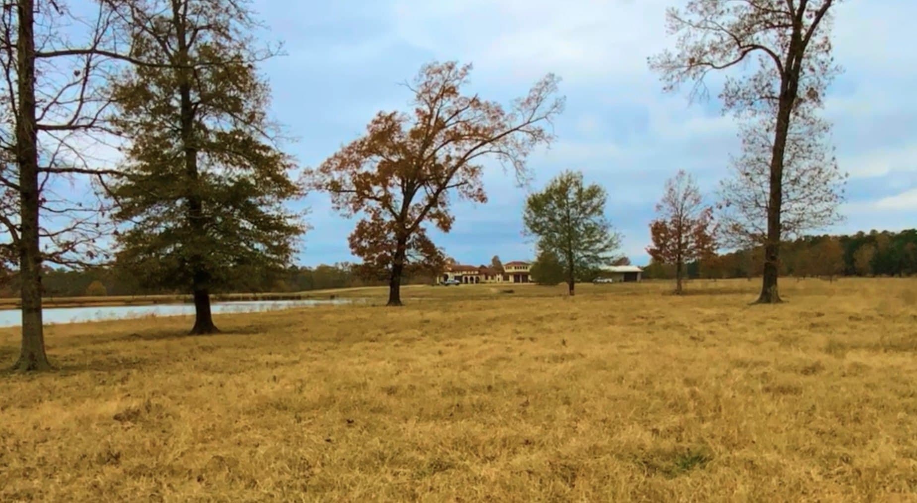3,000 acres in Gregg County gallery image 2