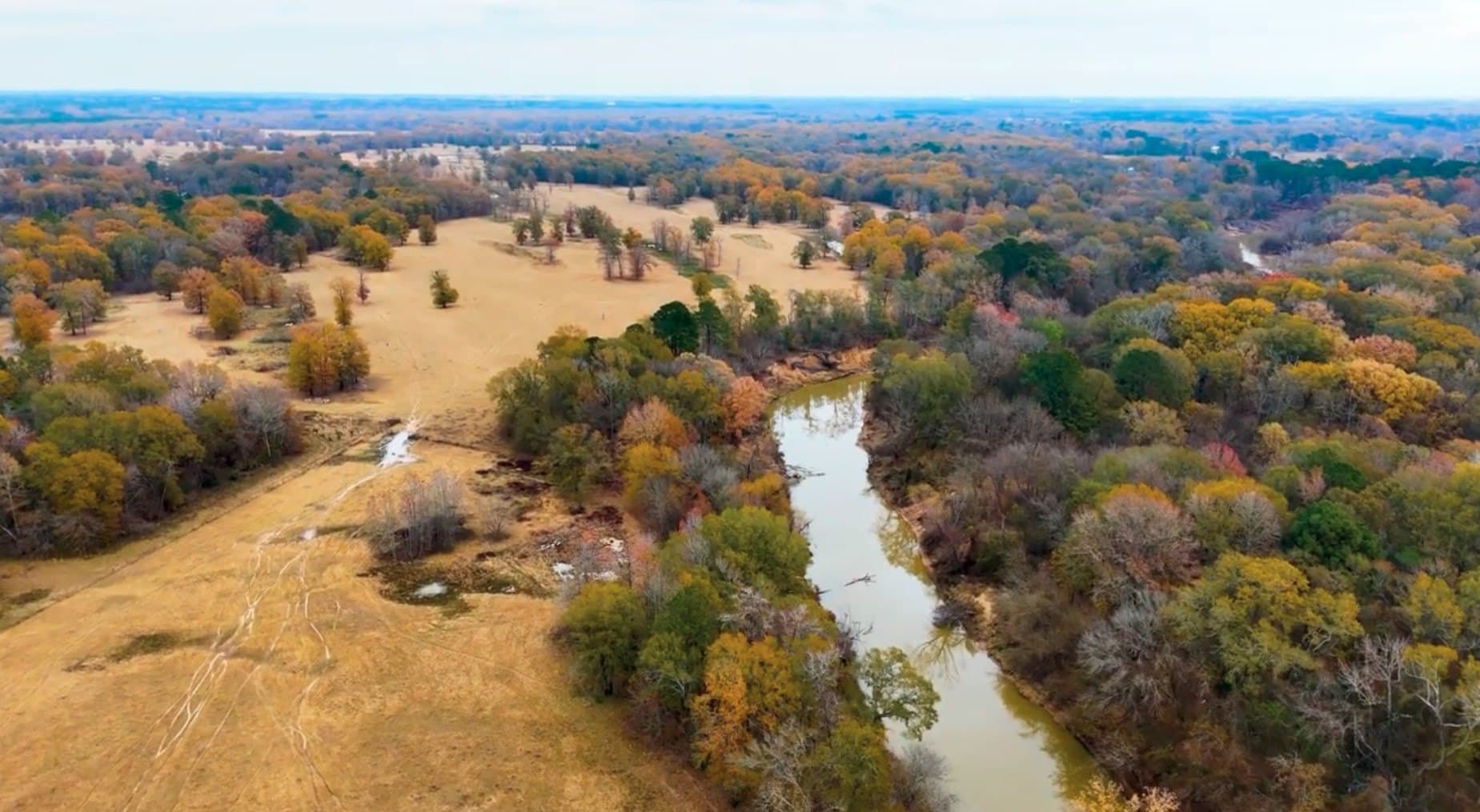 3,000 acres in Gregg County - photo 10