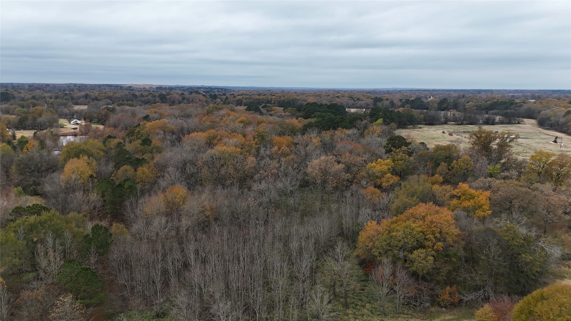 3,000 acres in Gregg County - photo 8