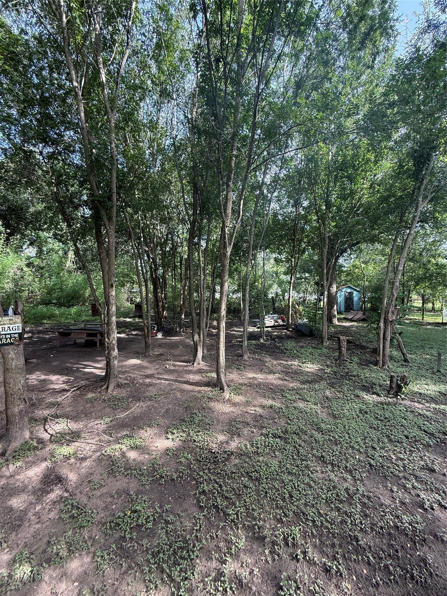 0.15 acres in Grimes County - photo 4