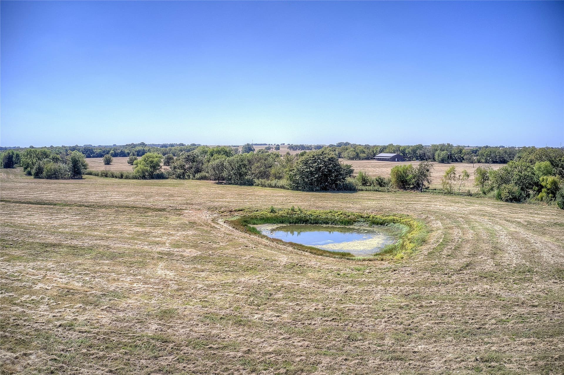 11 acres in Fannin County - photo 5