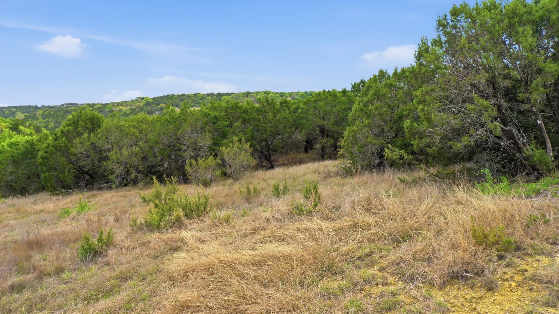 5.05 acres in Erath County gallery image 2