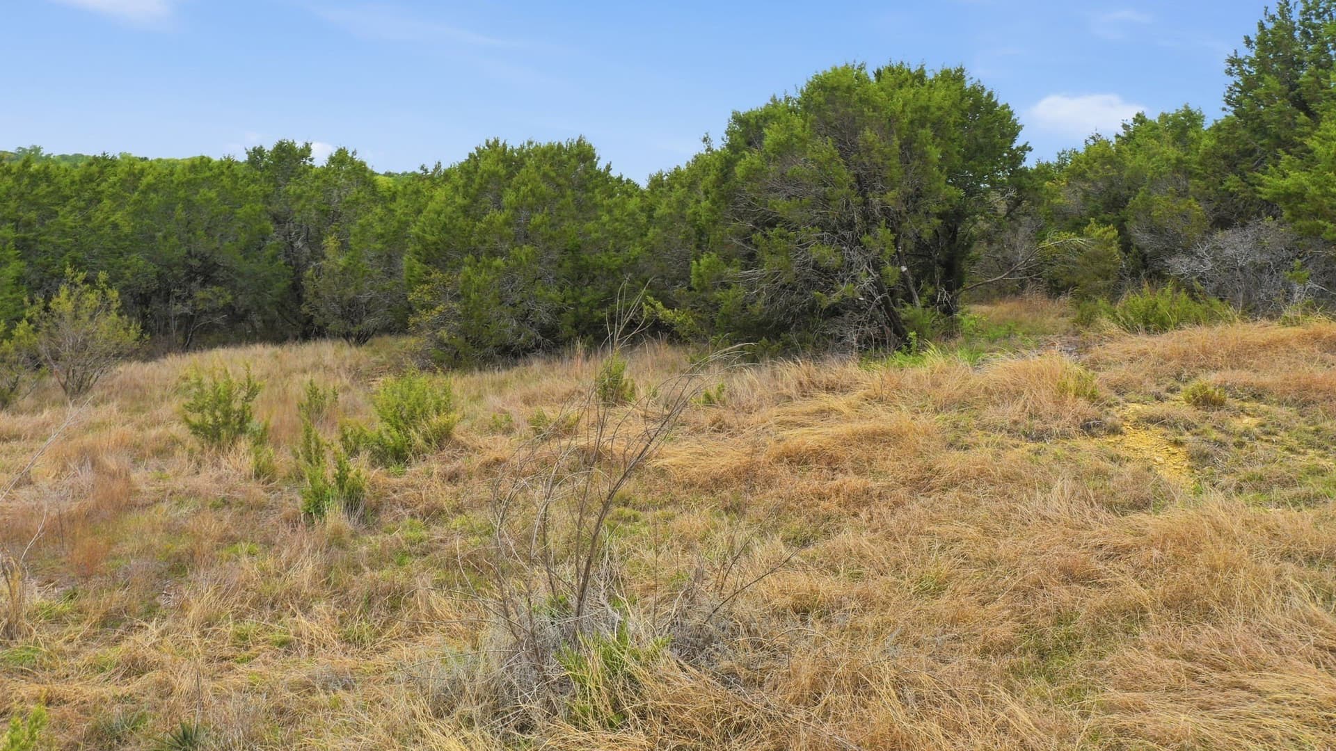 5.05 acres in Erath County featured view