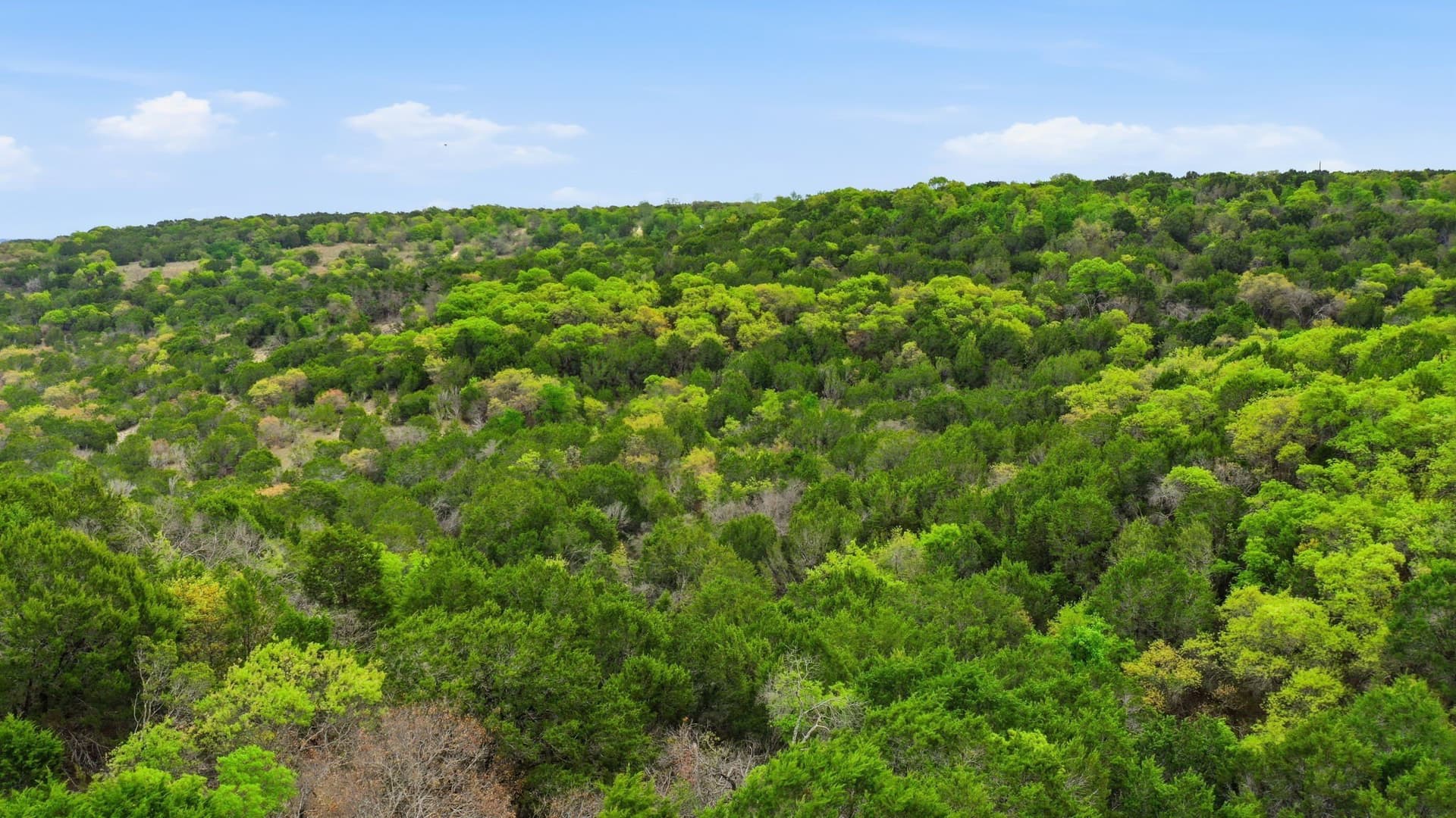 5.05 acres in Erath County - photo 20