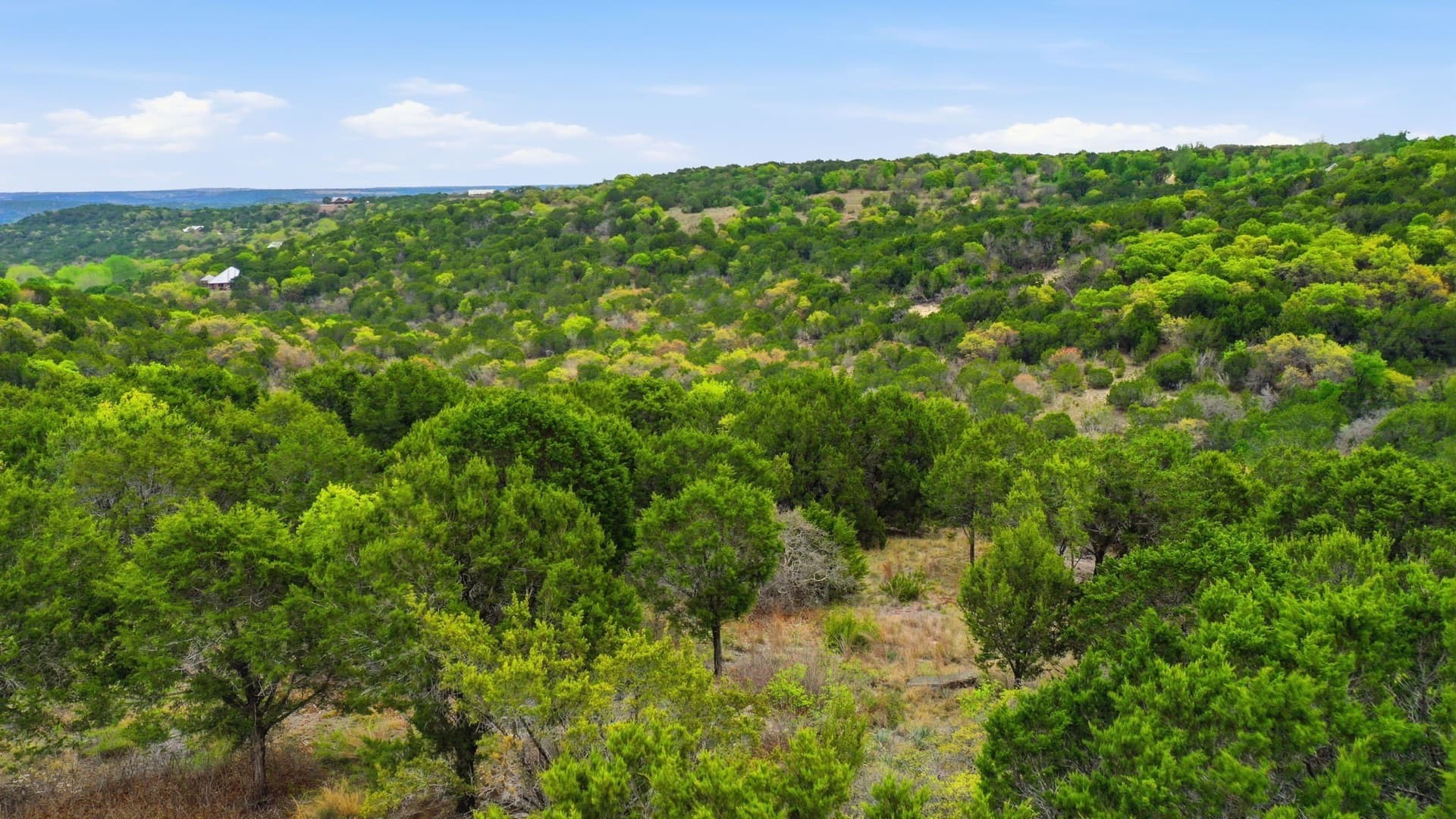 5.05 acres in Erath County - photo 7