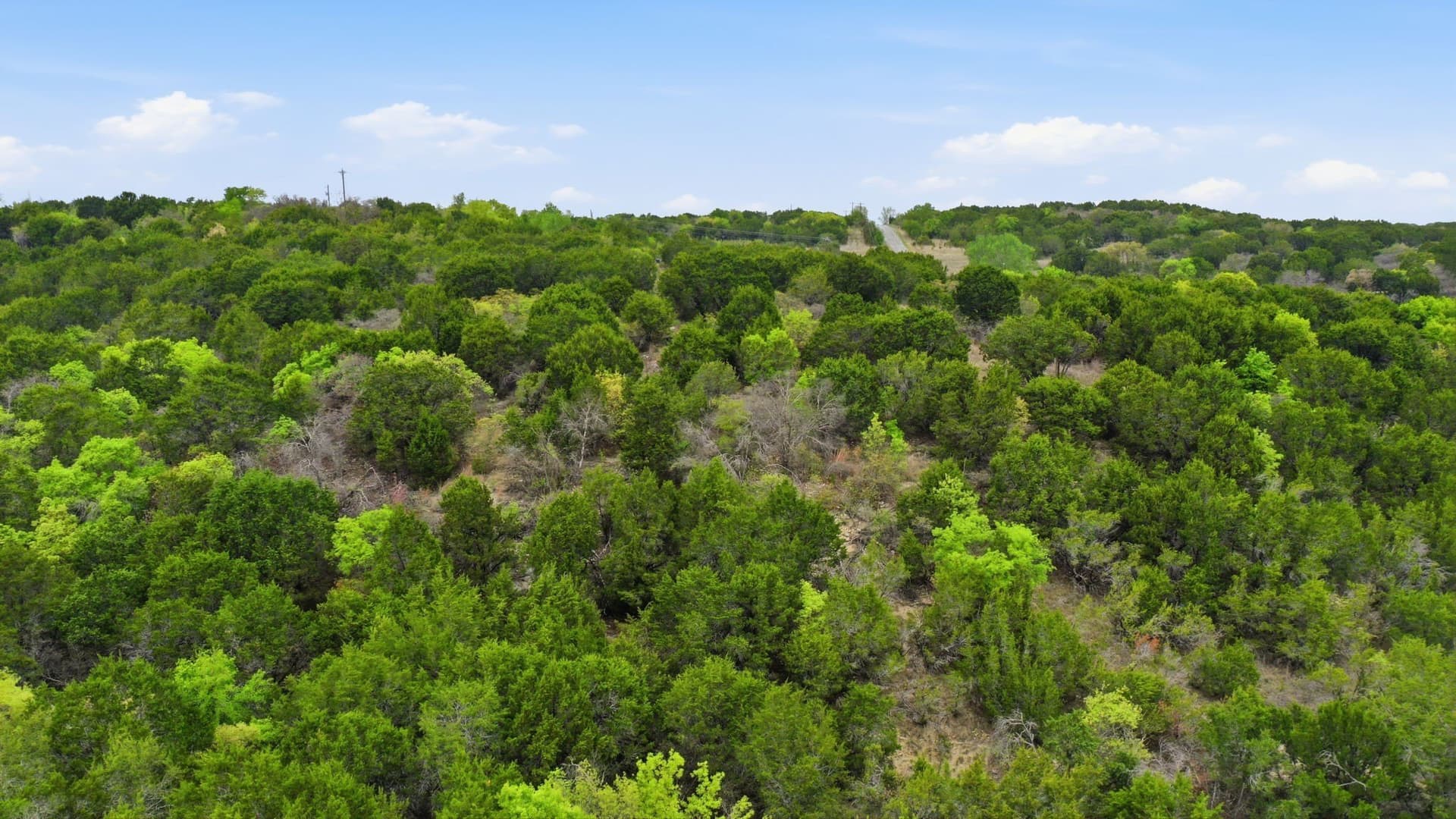 5.05 acres in Erath County - photo 16