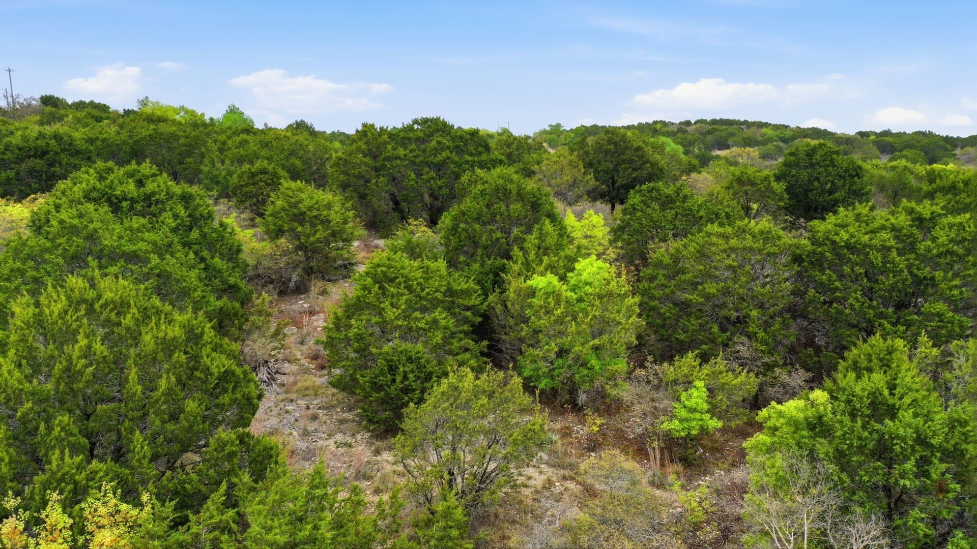 5.05 acres in Erath County - photo 8