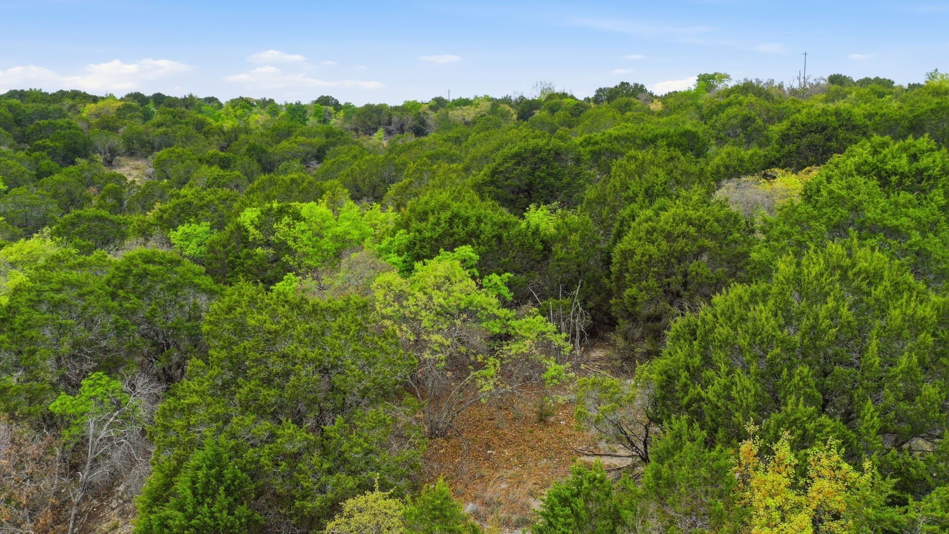5.05 acres in Erath County - photo 17