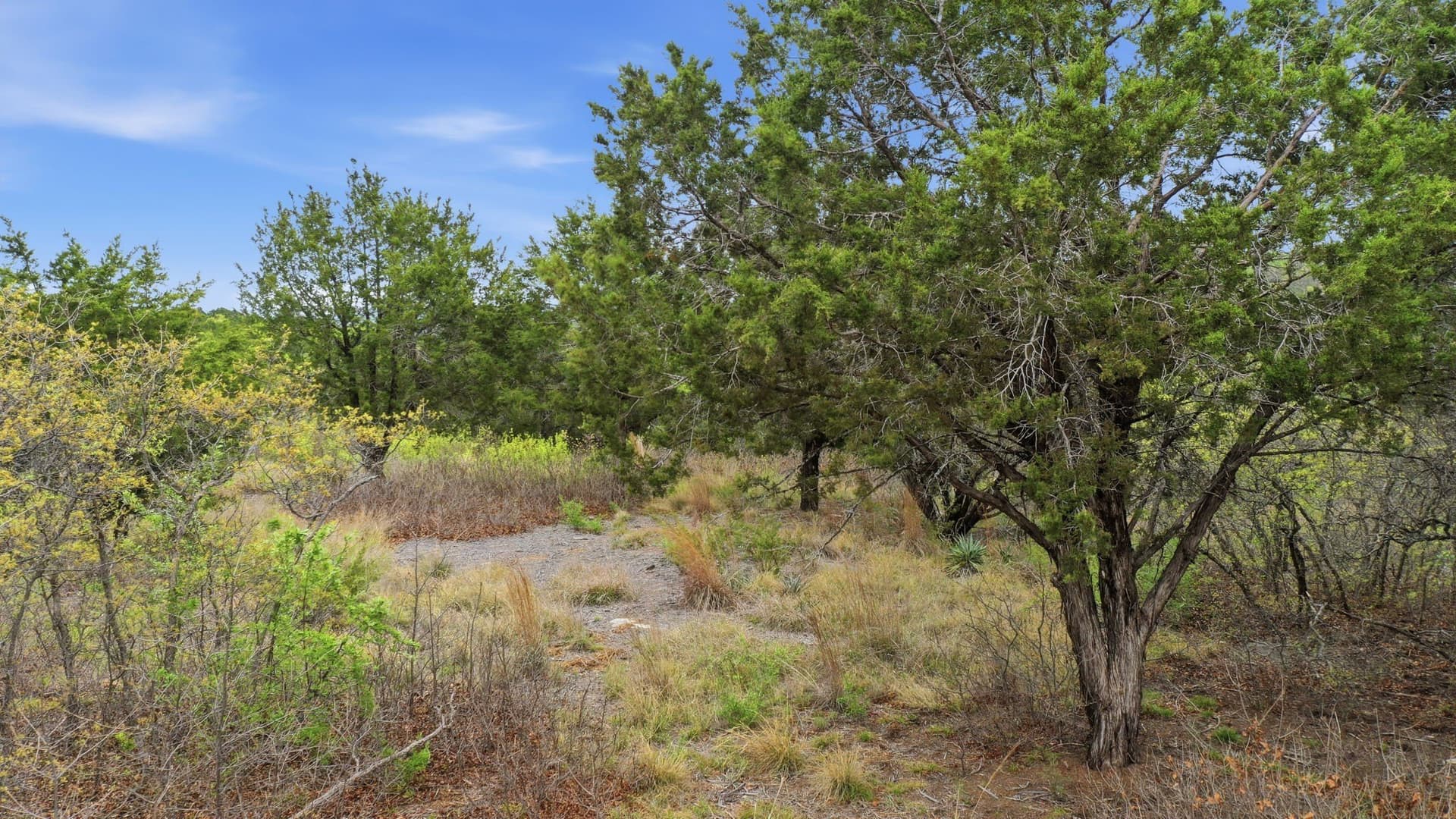 5.05 acres in Erath County gallery image 4