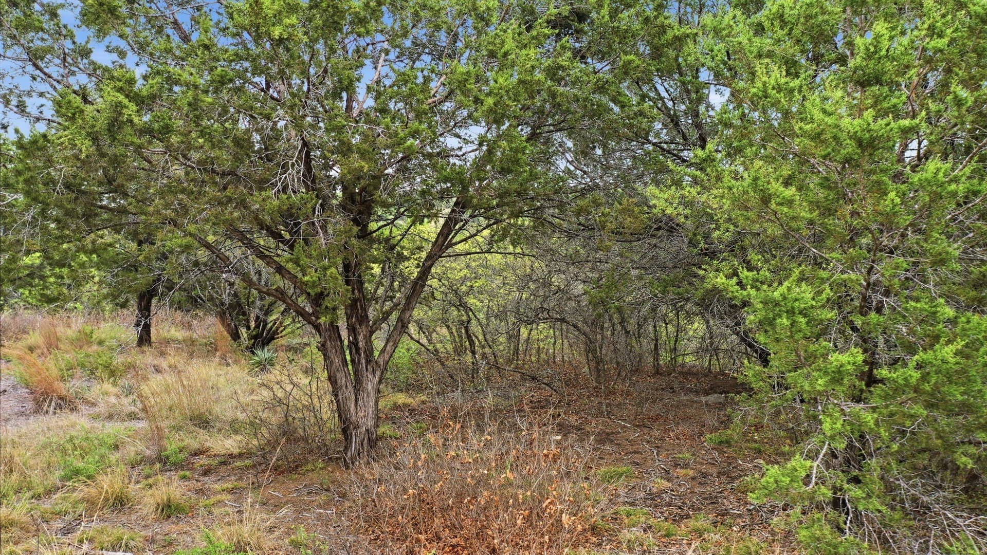 5.05 acres in Erath County gallery image 3