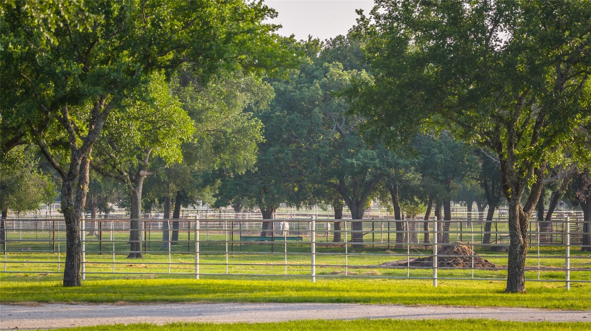 92.81 acres in Erath County - photo 31