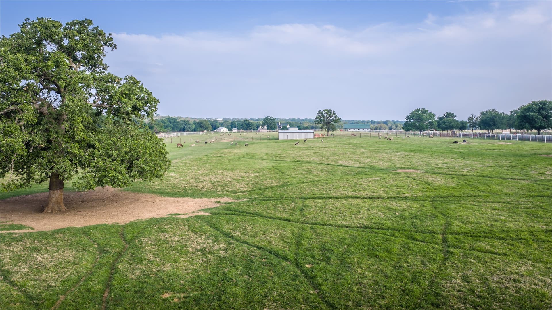 92.81 acres in Erath County - photo 32