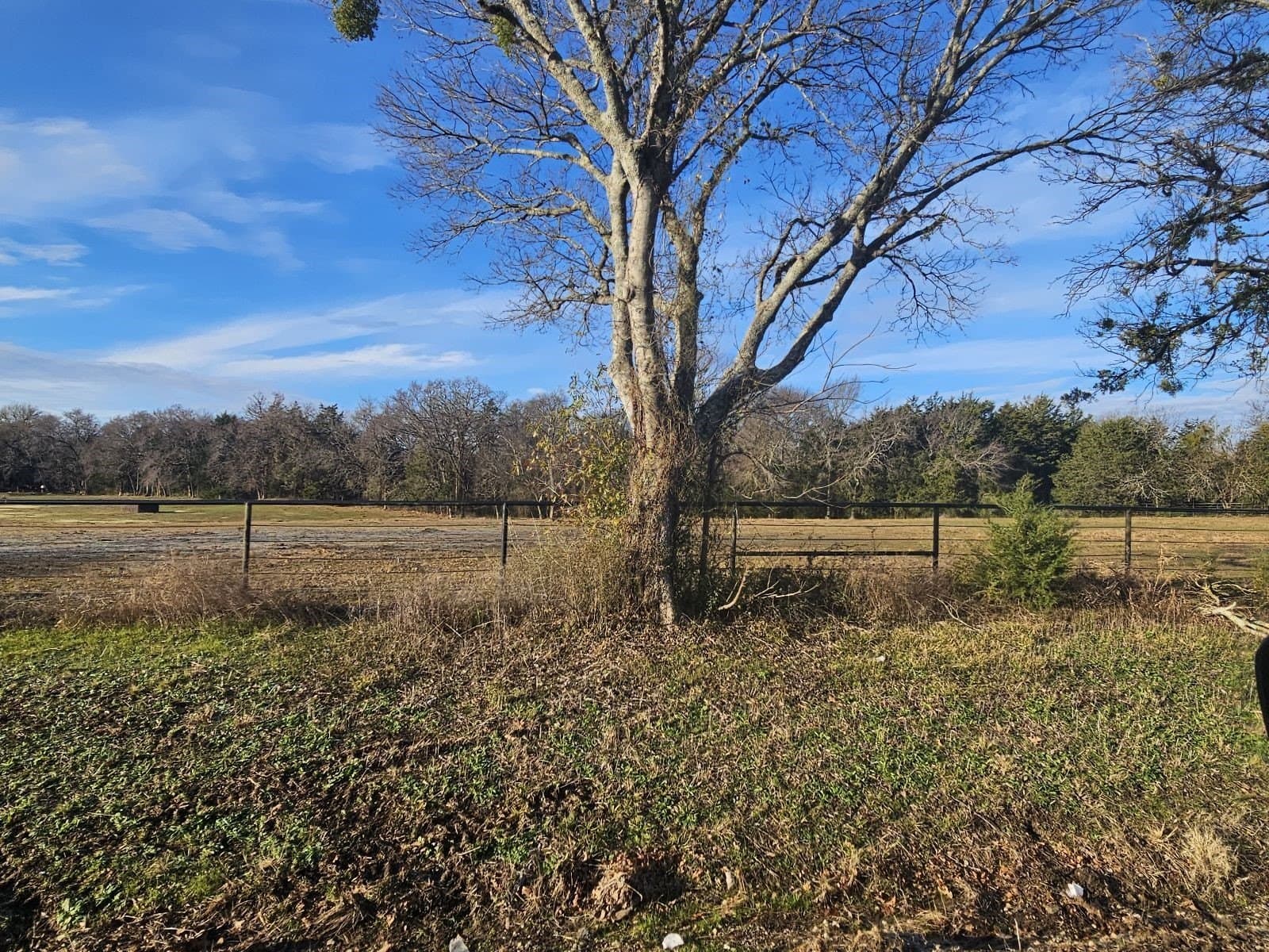 1.74 acres in Hunt County - photo 4