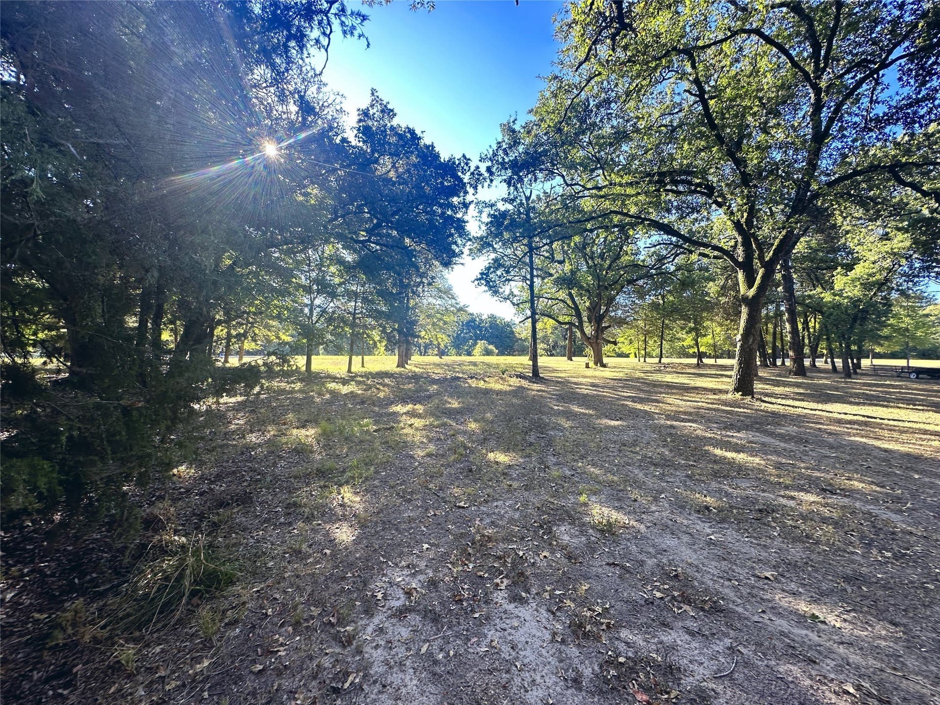 1.05 acres in Navarro County gallery image 4