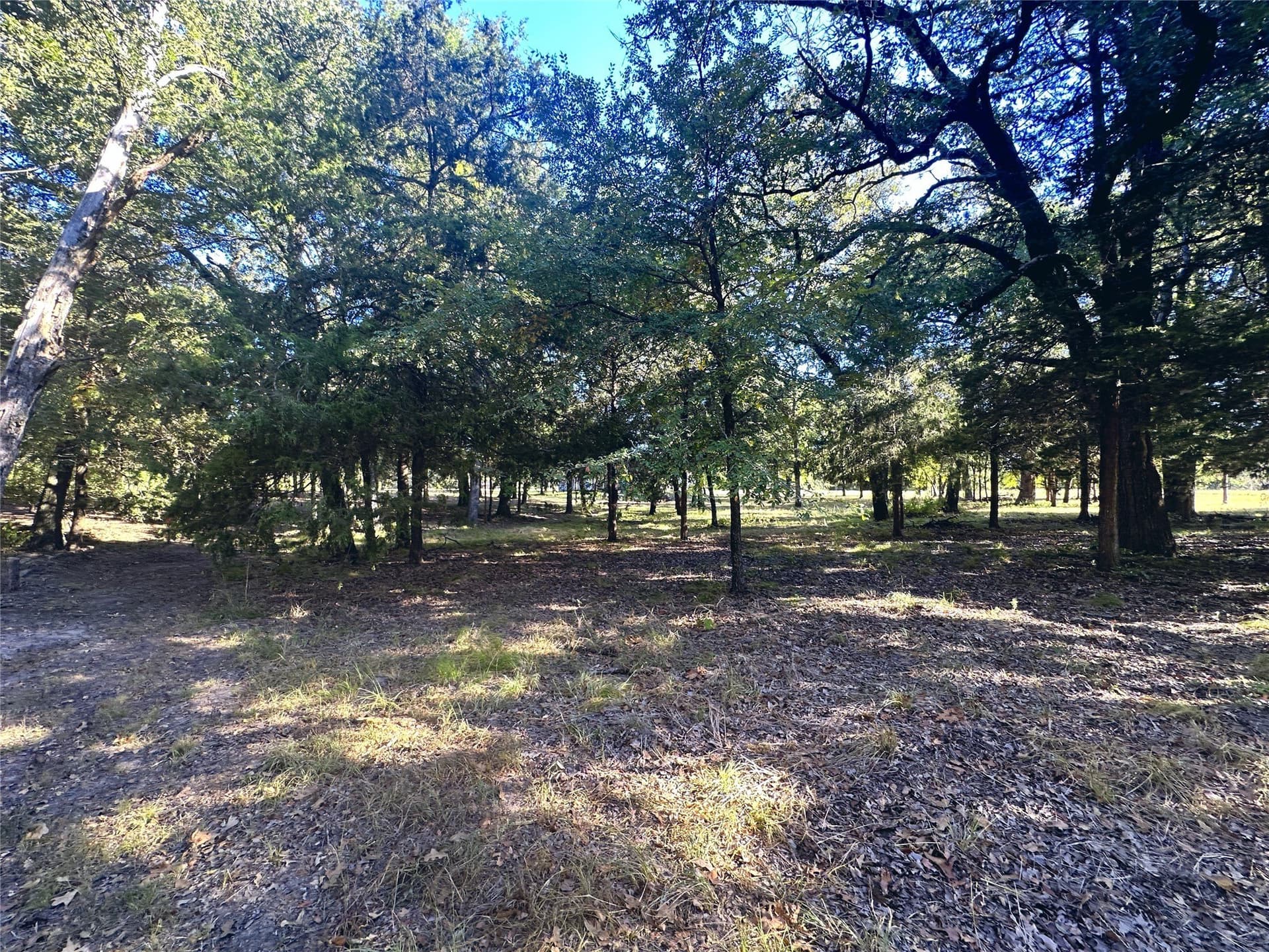 1.05 acres in Navarro County featured view