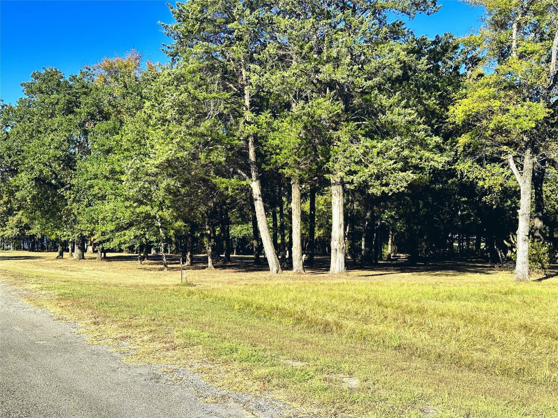 1.05 acres in Navarro County gallery image 2