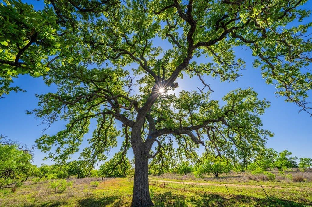 272 acres in Llano County featured view