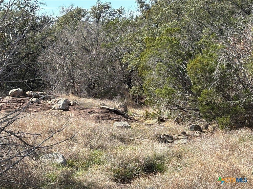 13.91 acres in Burnet County gallery image 4