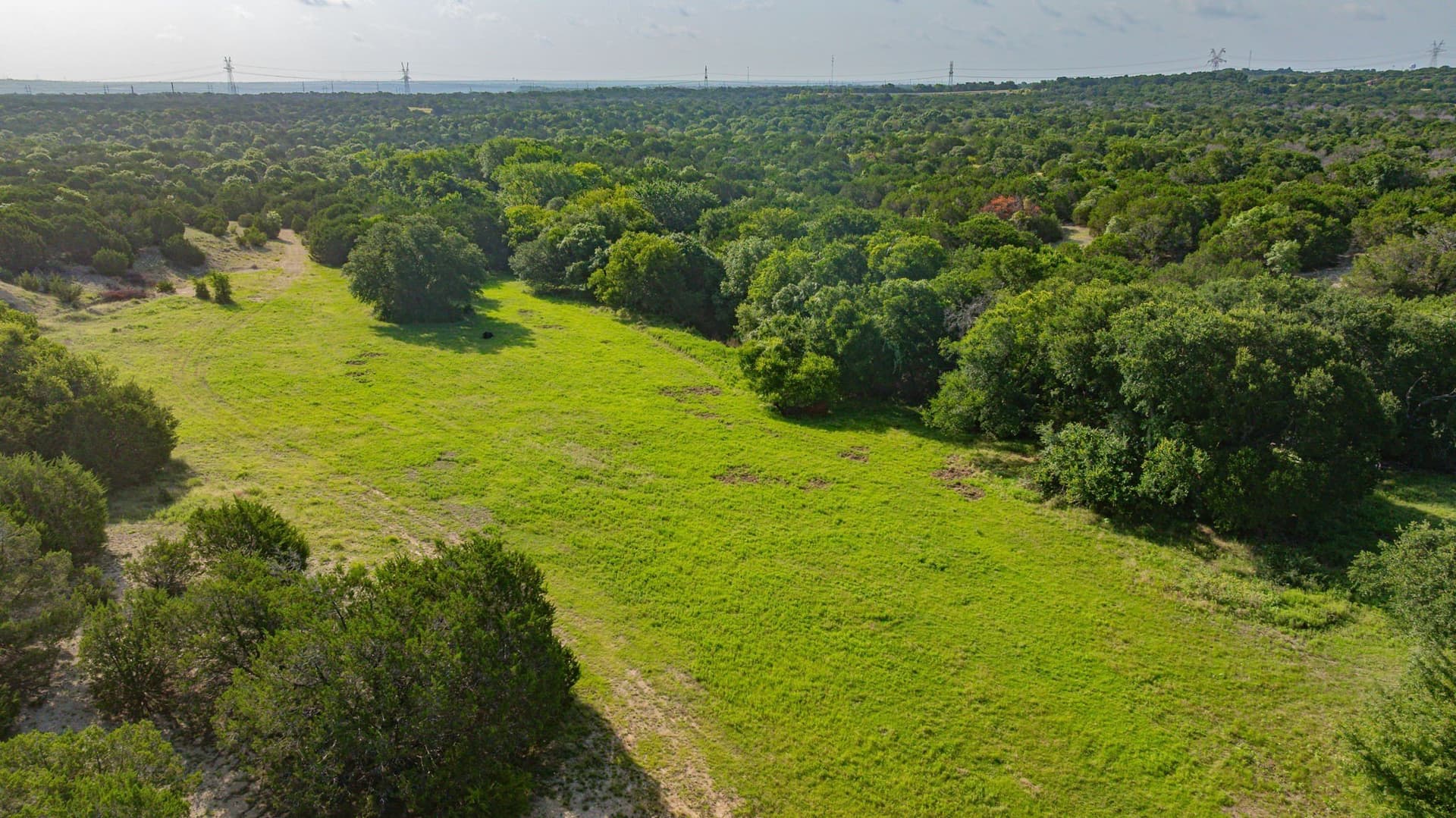 55 acres in Parker County gallery image 3