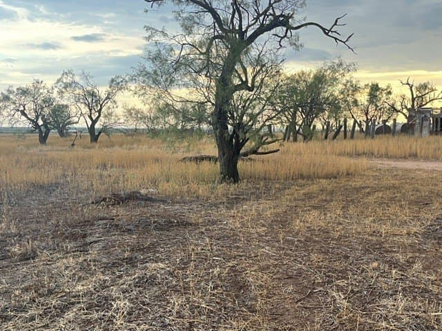 10.49 acres in Jones County - photo 7