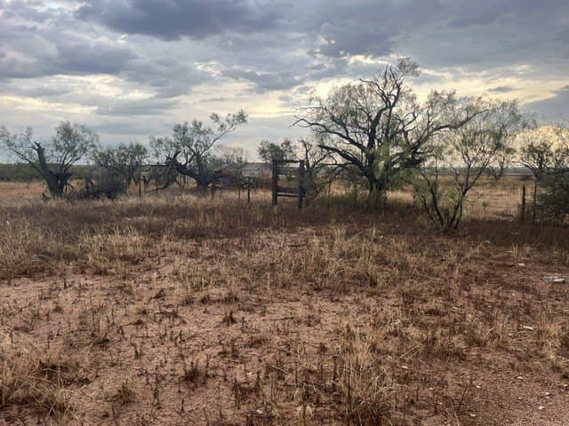 10.49 acres in Jones County - photo 16