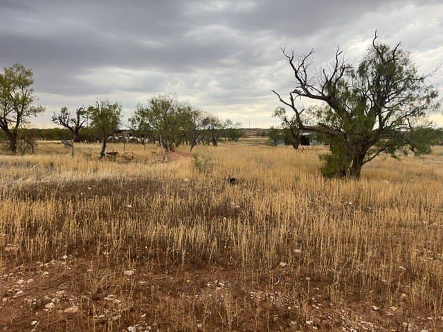 10.49 acres in Jones County - photo 6