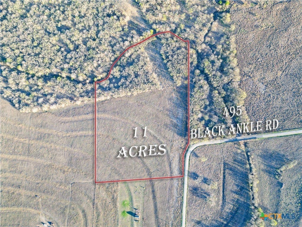 11 acres in Caldwell County gallery image 3