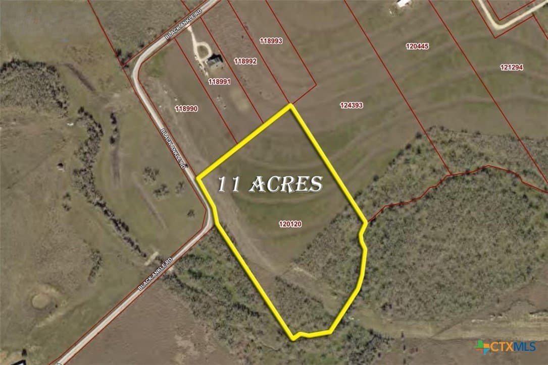 11 acres in Caldwell County - photo 6