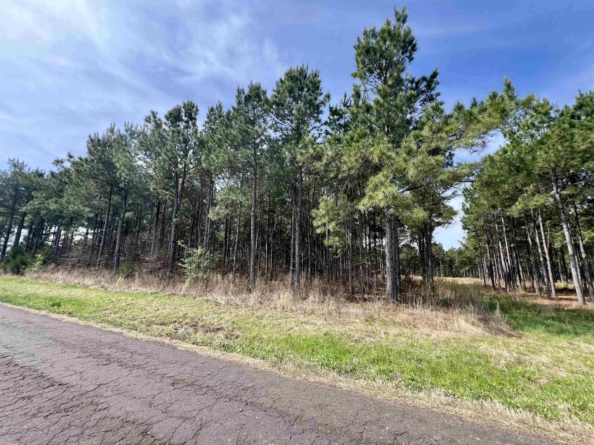 43.2 acres in Wood County - photo 8
