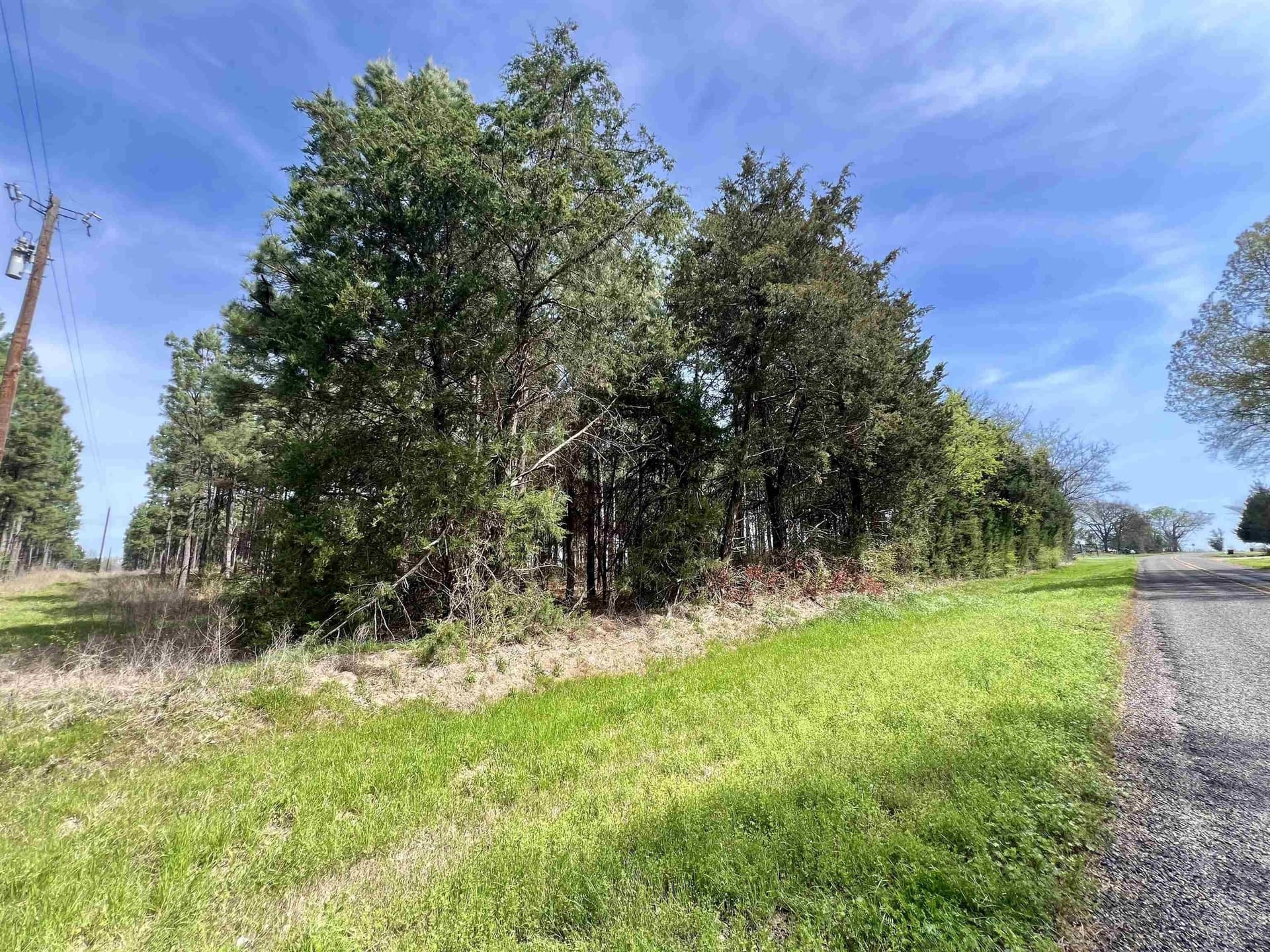 43.2 acres in Wood County - photo 6