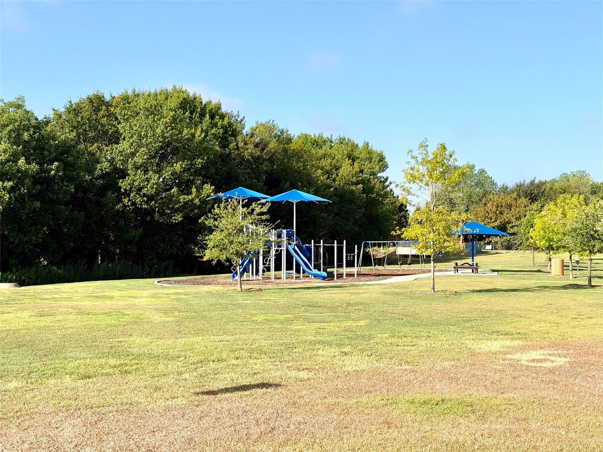 0.3 acres in Collin County - photo 8