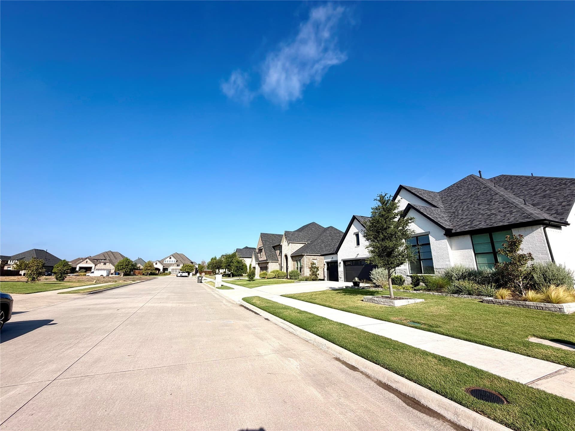 0.3 acres in Collin County - photo 4