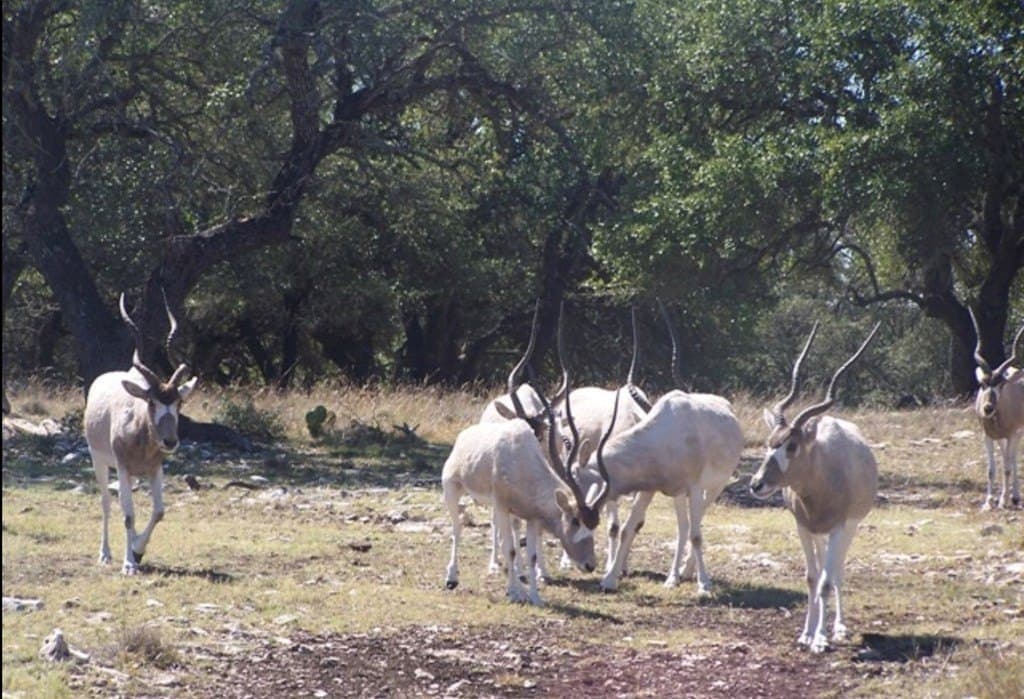 153 acres in Edwards County gallery image 2