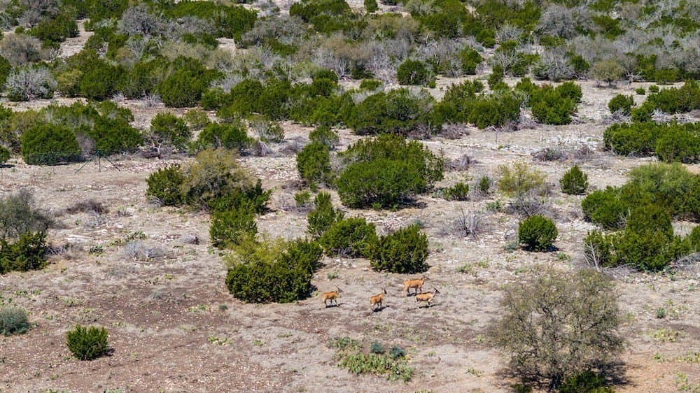 153 acres in Edwards County featured view