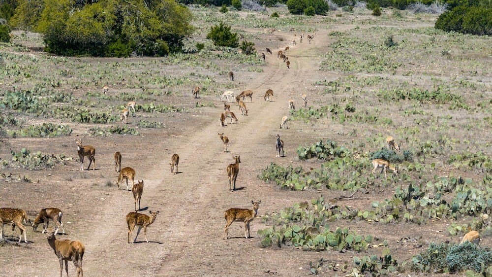 153 acres in Edwards County gallery image 3