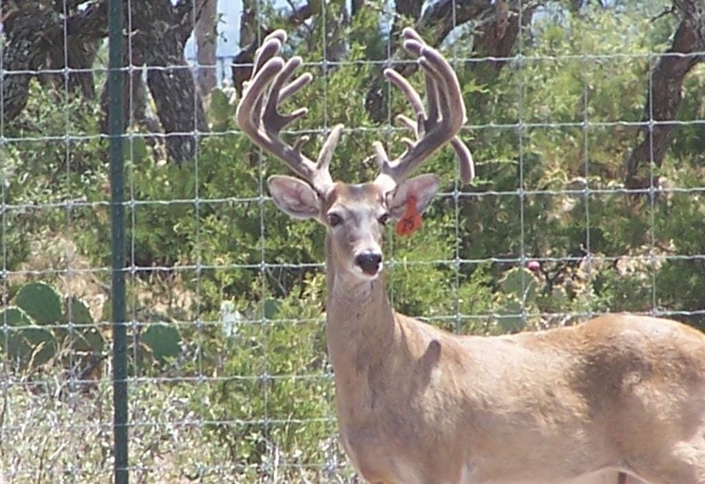 153 acres in Edwards County