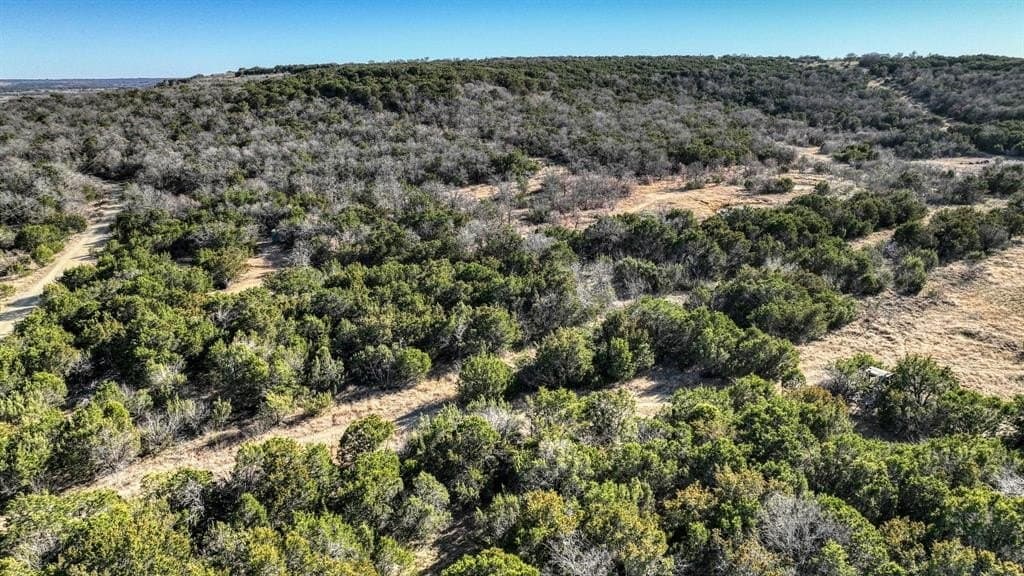 14 acres in Palo Pinto County gallery image 4