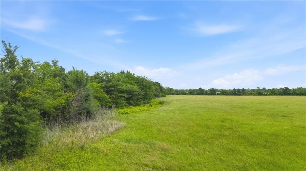 4.14 acres in Leon County featured view