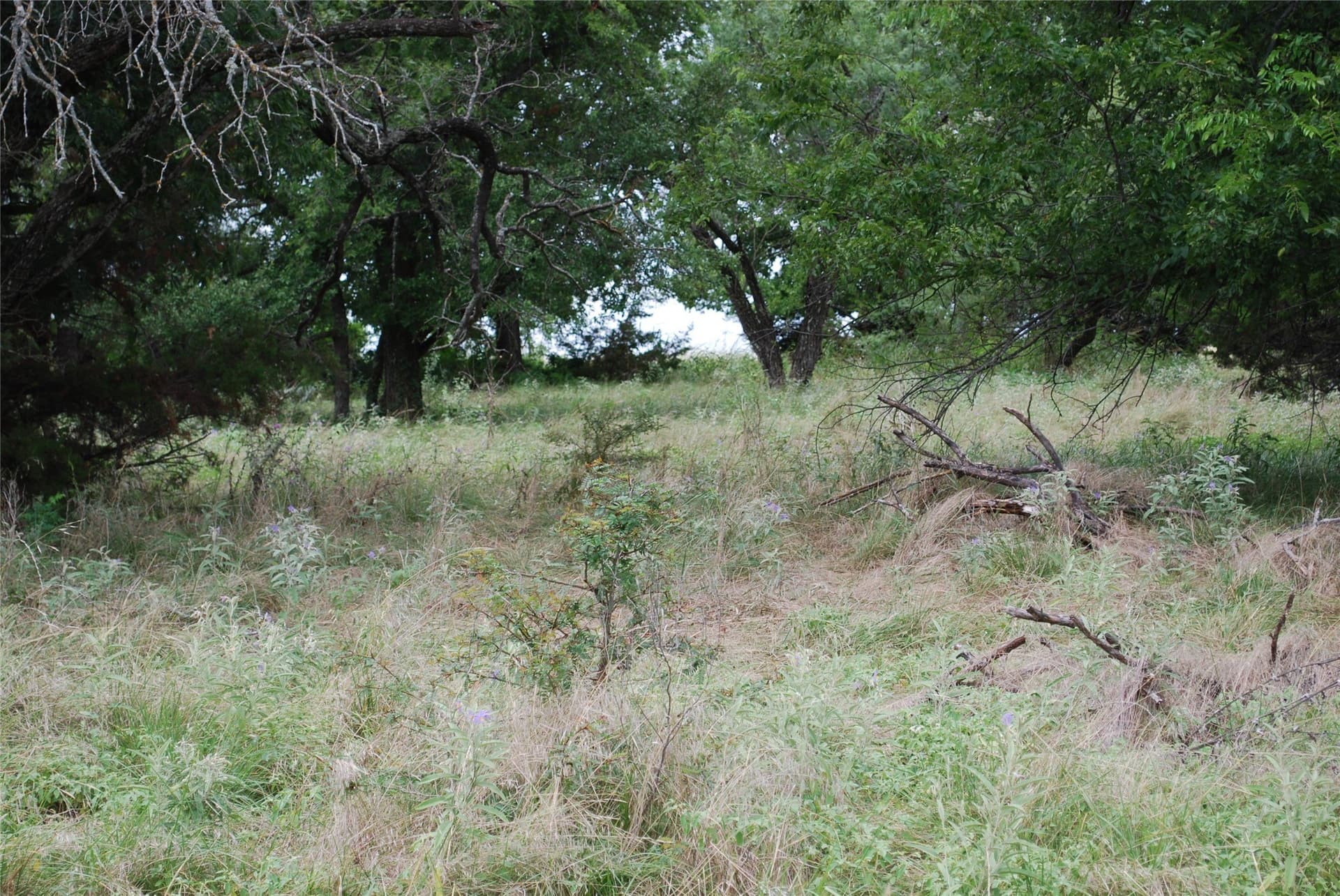 0.17 acres in Hill County - photo 8