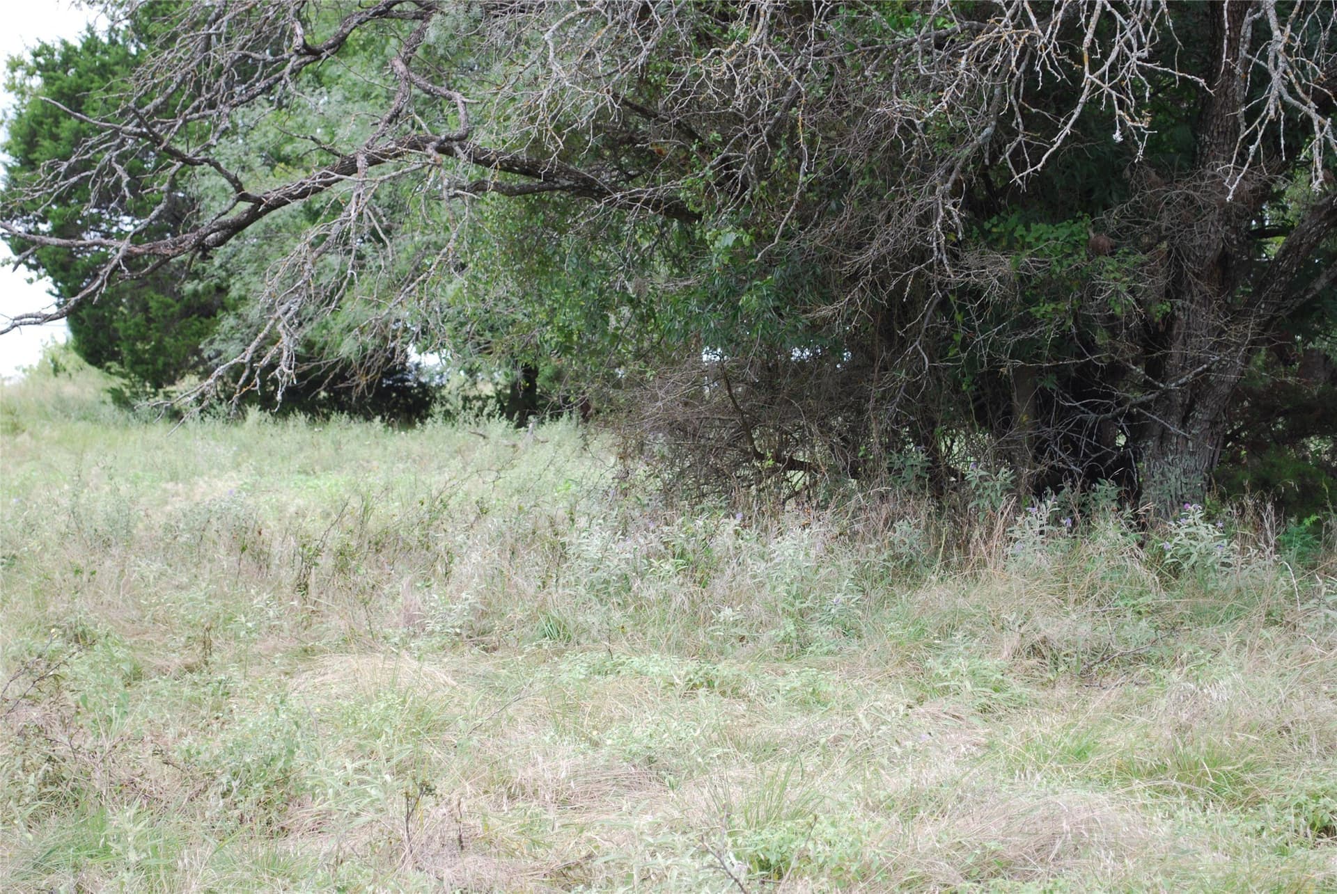 0.17 acres in Hill County - photo 7